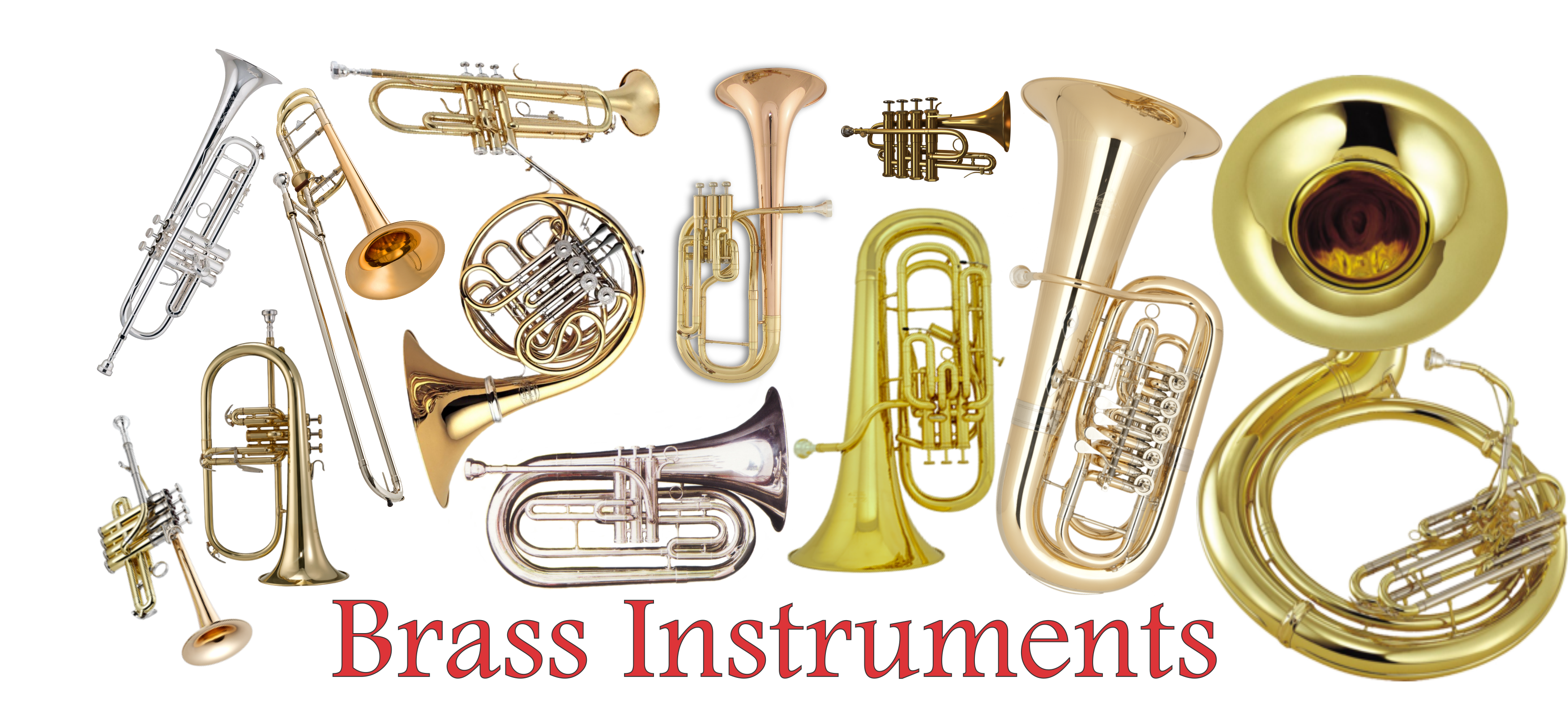 1577419260213679.png 1577419260213679.png